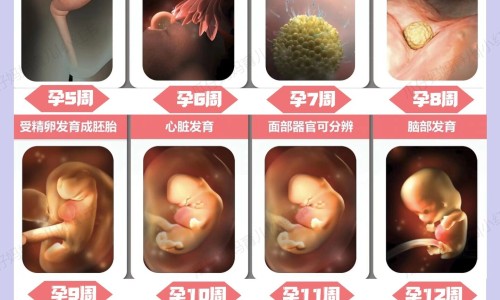 宝宝反复发烧惊厥症状网宝宝高烧惊厥症状知识网站,分享宝宝反复发烧惊厥症状表现大全